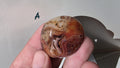 Sardonyx Palm Stones