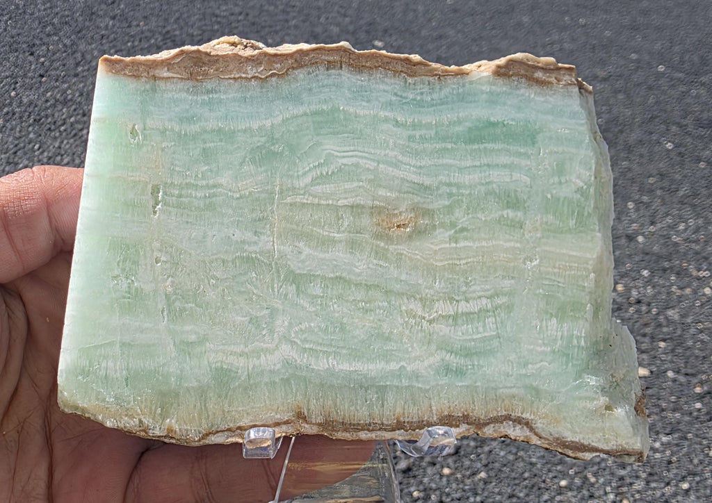 Caribbean Blue Aragonite Slab