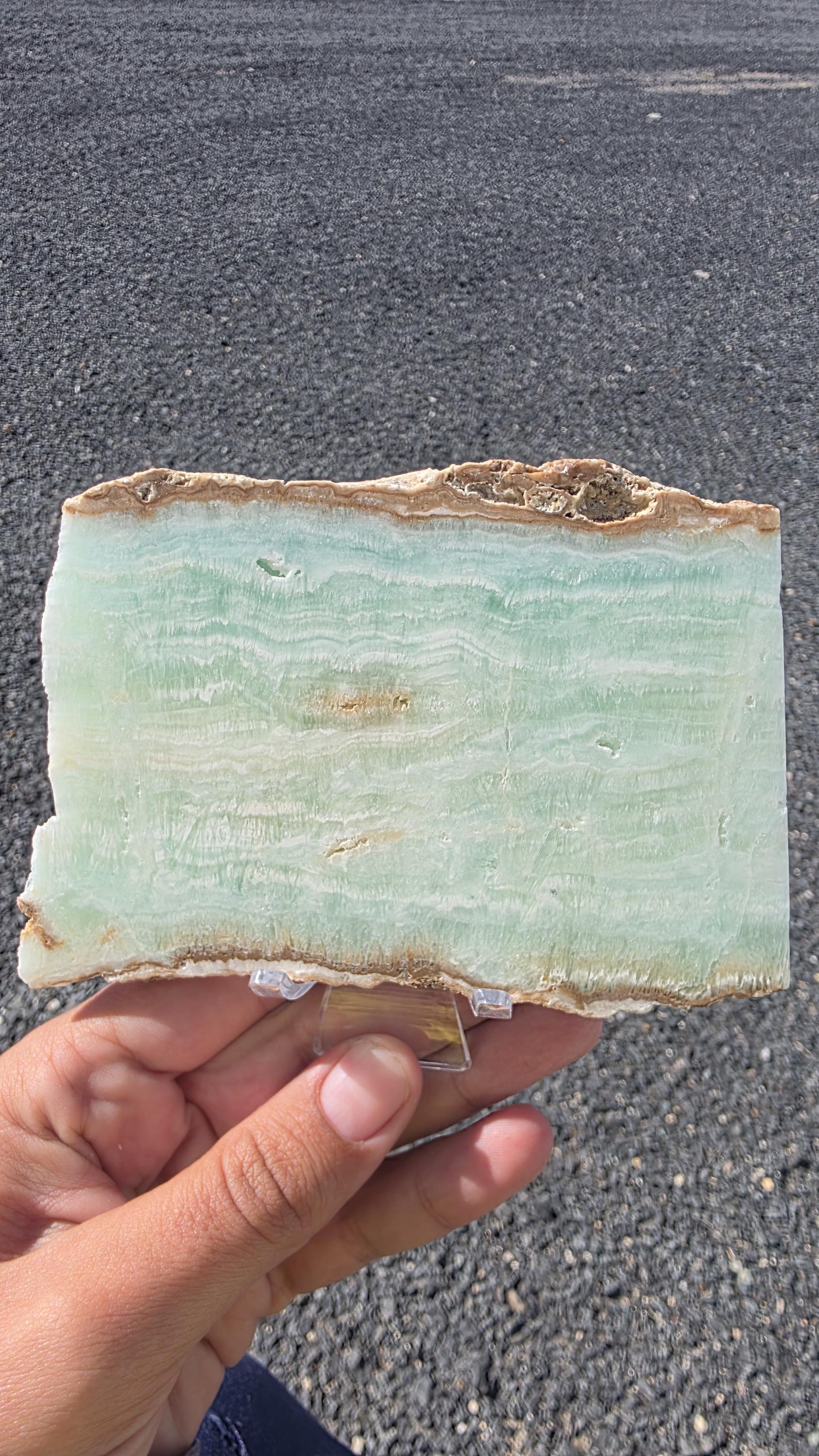 Caribbean Blue Aragonite Slab