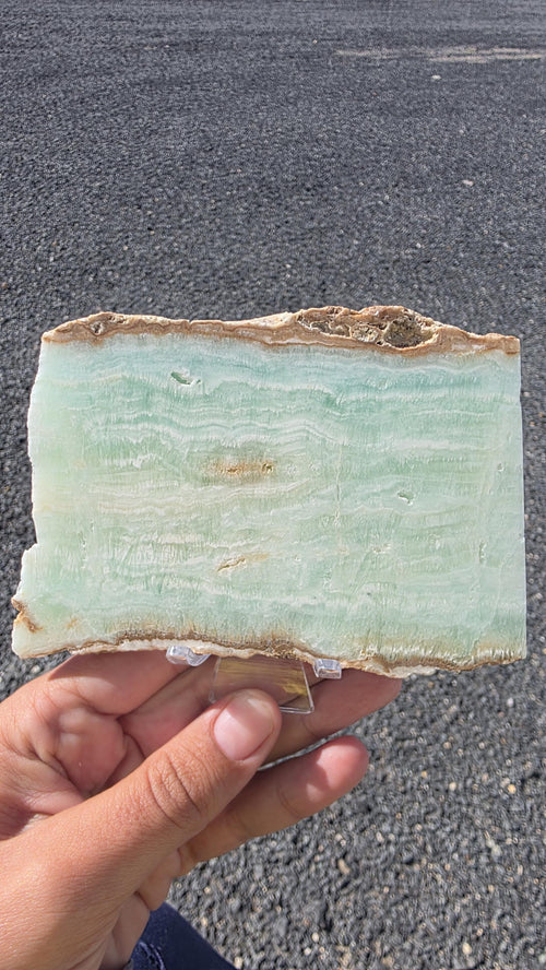 Caribbean Blue Aragonite Slab