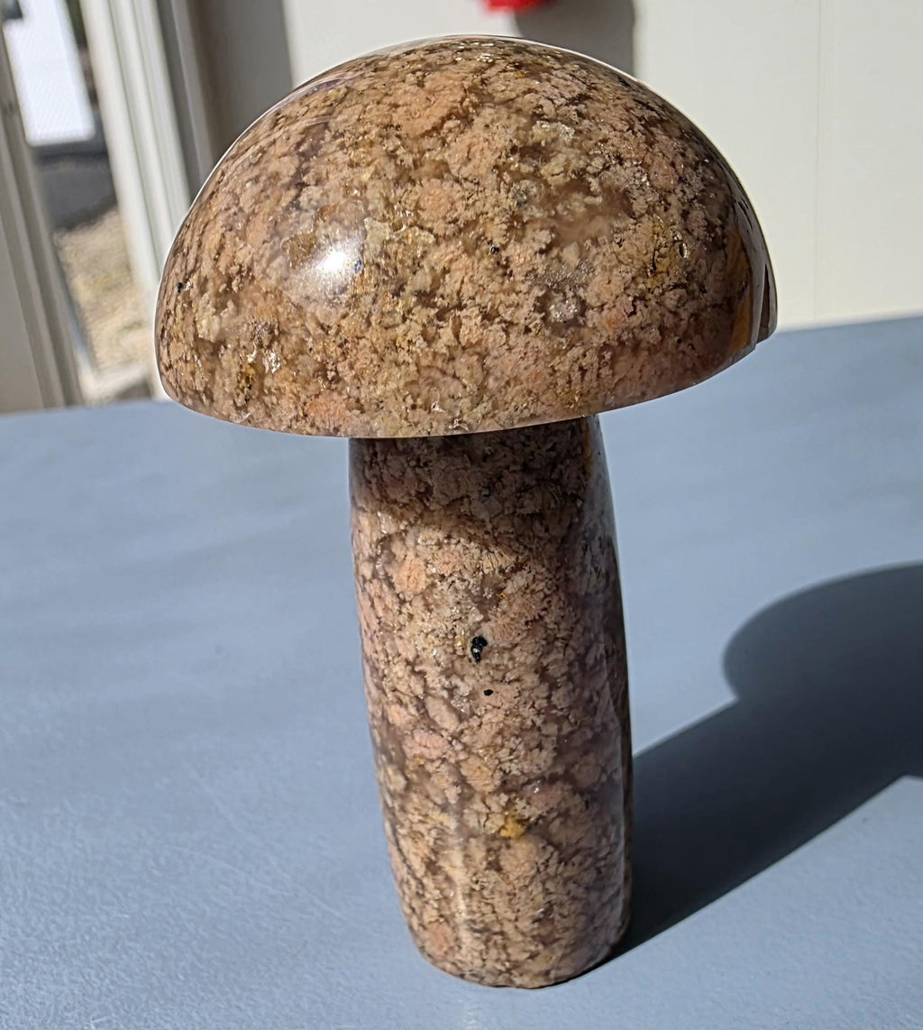 Flower agate carved mushroom ~ polished