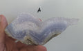 Raw Blue Lace Agate, South Africa