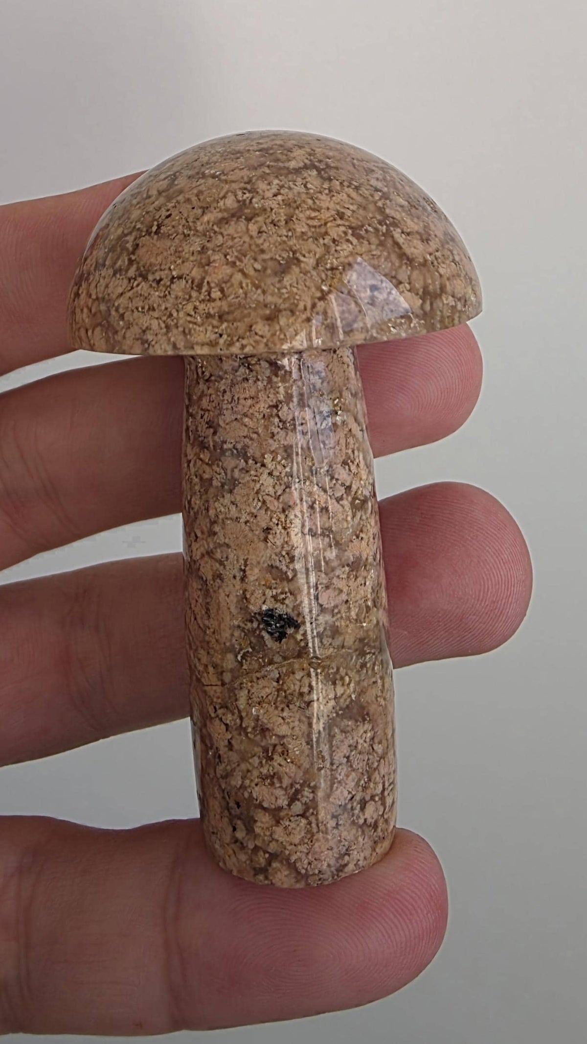 Flower agate carved mushroom ~ polished