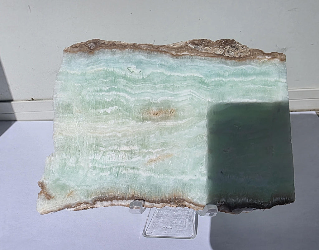 Caribbean Blue Aragonite Slab