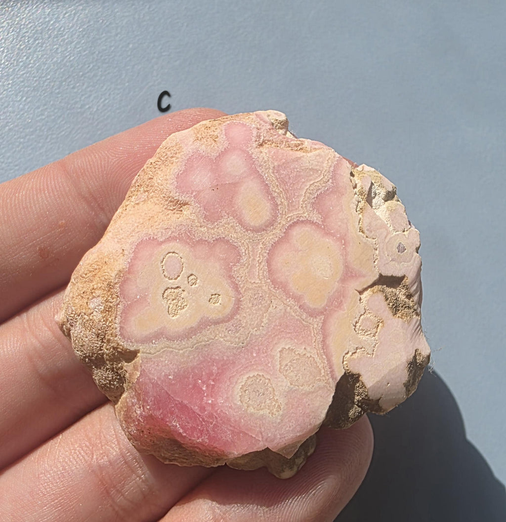 Rhodochrosite Slab from Capillitas Mine, Argentina – Half Polished Crystal Slice