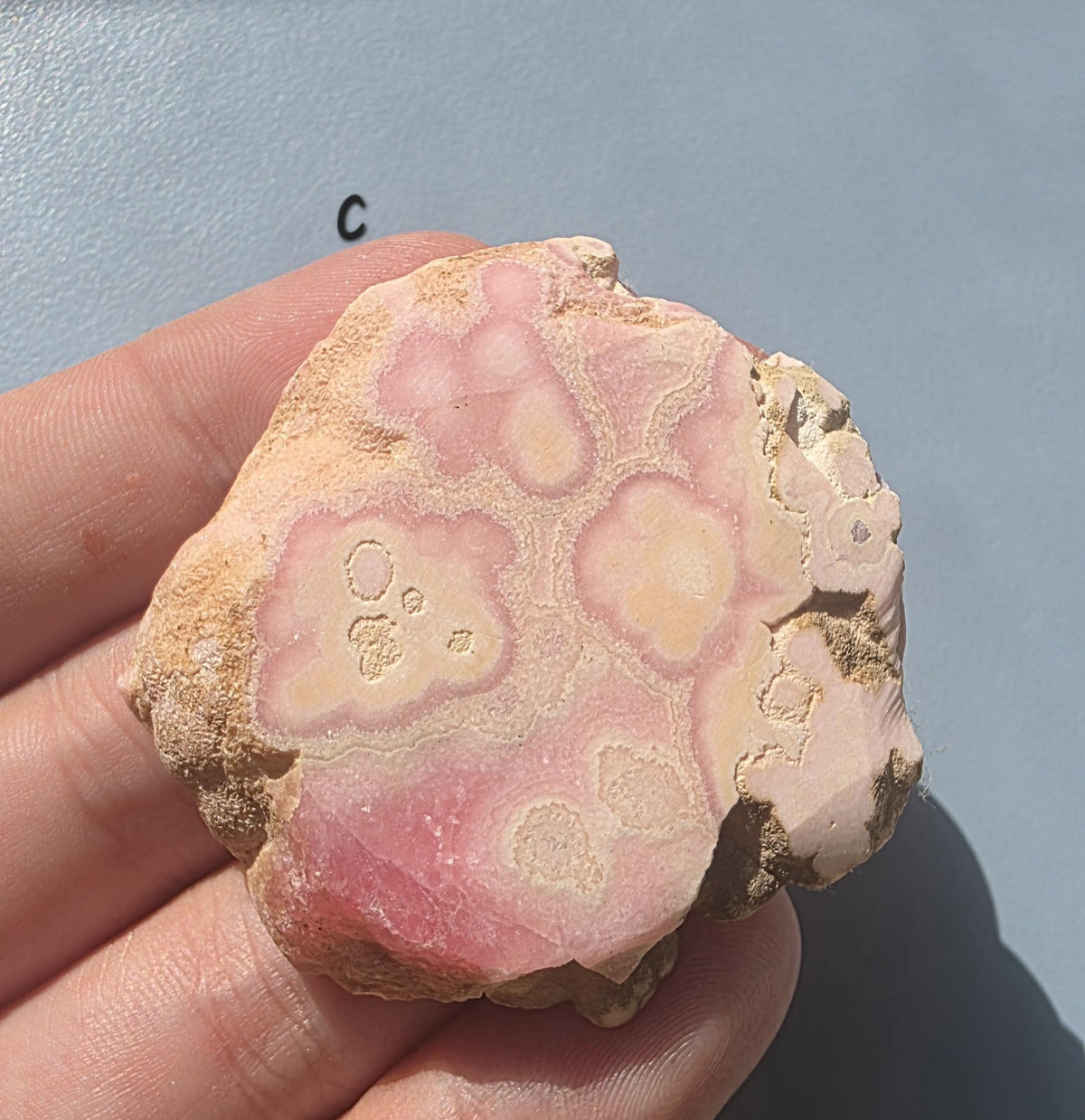 Rhodochrosite Slab from Capillitas Mine, Argentina – Half Polished Crystal Slice