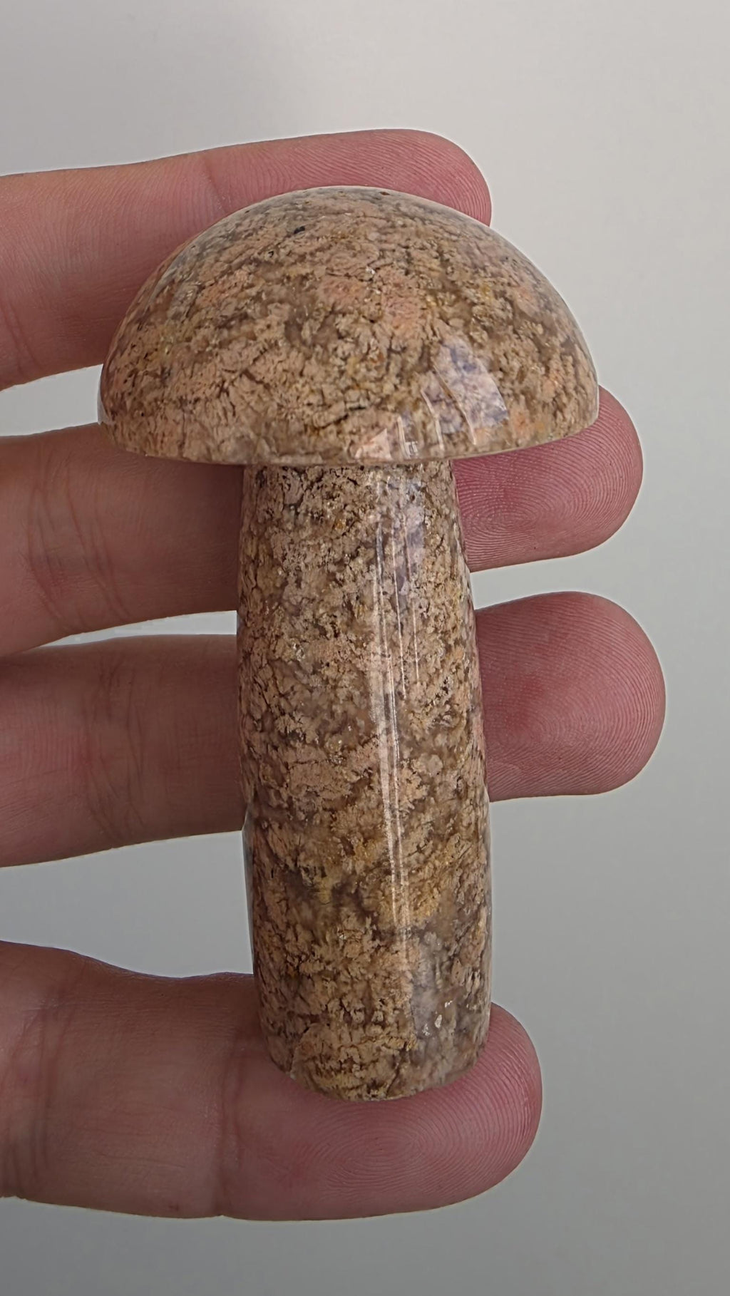 Flower agate carved mushroom ~ polished