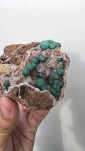 Sparkling Botryoidal Malachite on Druzy Quartz Matrix - Kambove, DR Congo (272g) - collectors piece