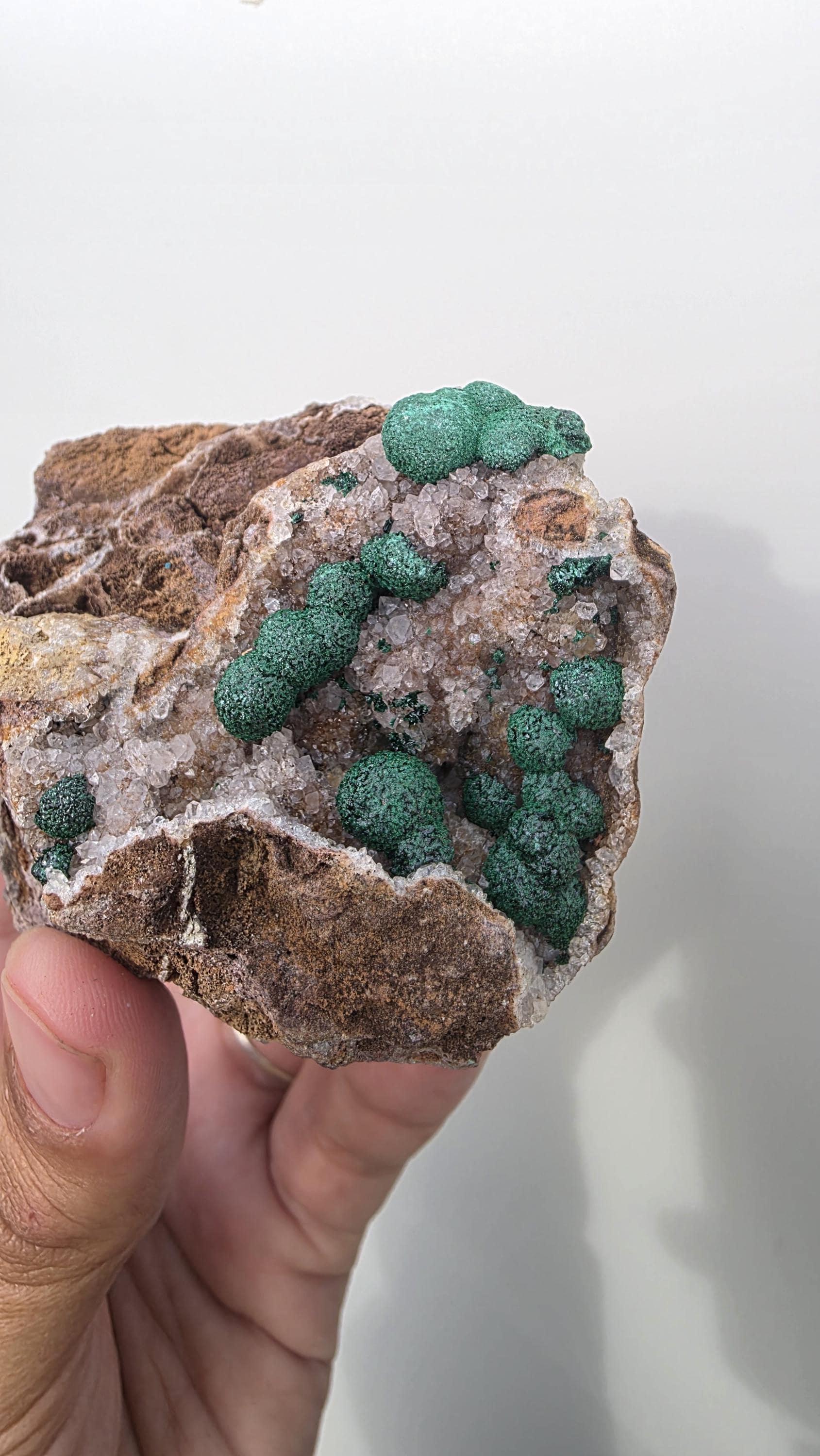 Sparkling Botryoidal Malachite on Druzy Quartz Matrix - Kambove, DR Congo (272g) - collectors piece