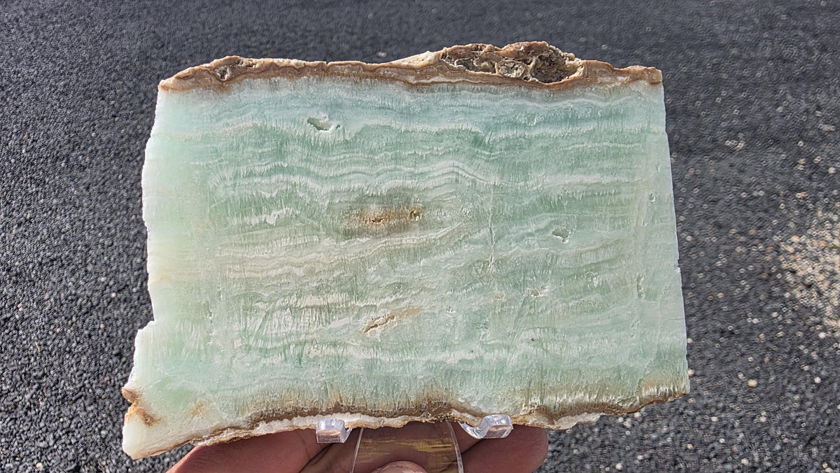 Caribbean Blue Aragonite Slab