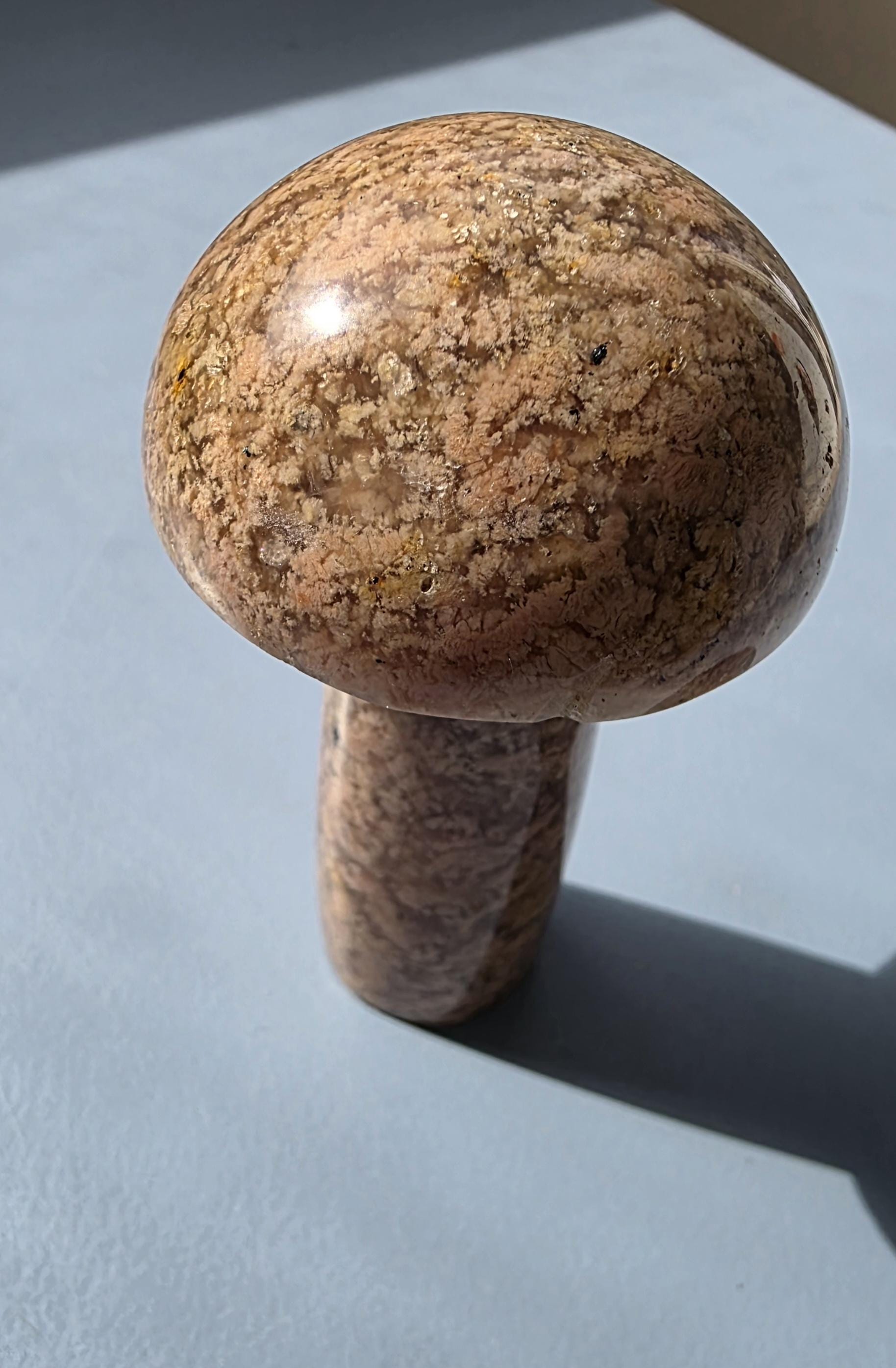 Flower agate carved mushroom ~ polished