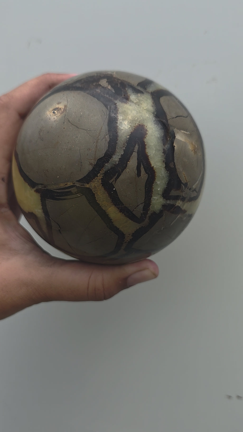 Genuine Polished Septarian "Dragon Stone" Sphere | 10cm, 1.74kg