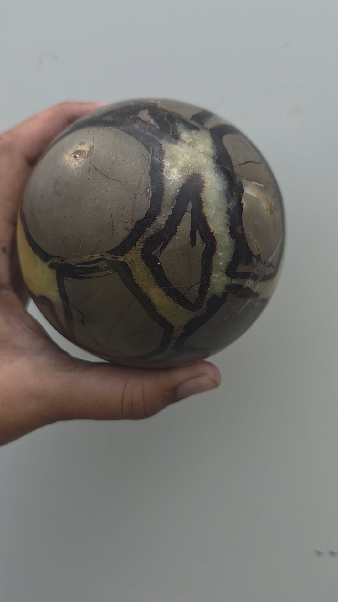 Genuine Polished Septarian "Dragon Stone" Sphere | 10cm, 1.74kg