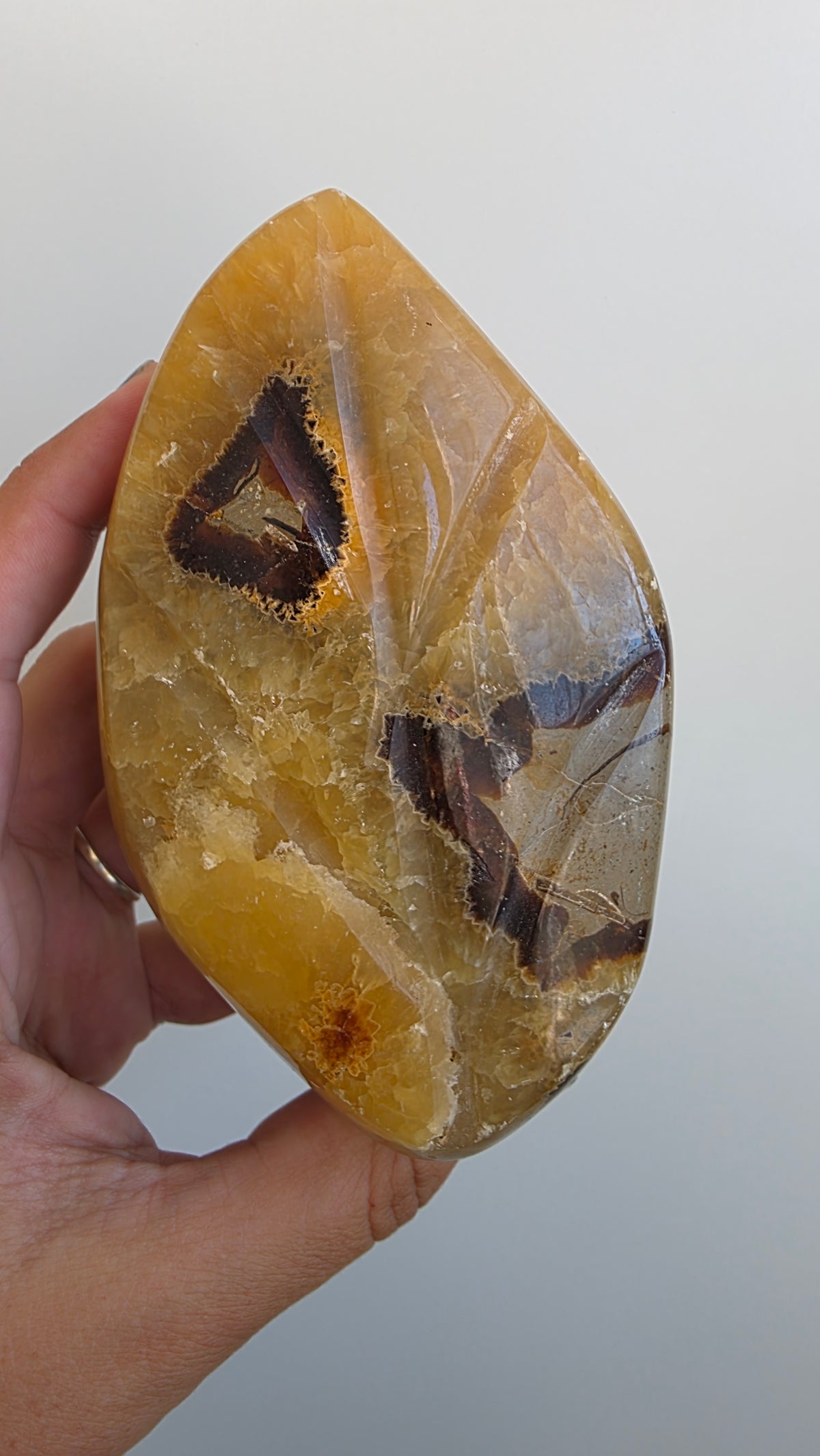 Hand-Carved Septarian Leaf Crystal Sculpture – 825g