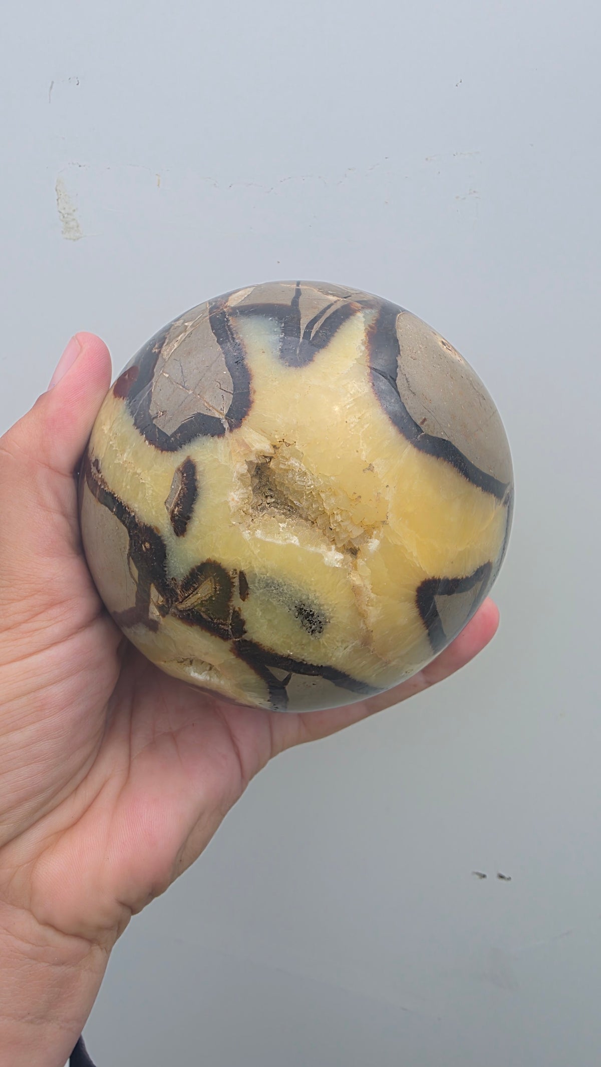 Genuine Polished Septarian "Dragon Stone" Sphere | 10cm, 1.74kg