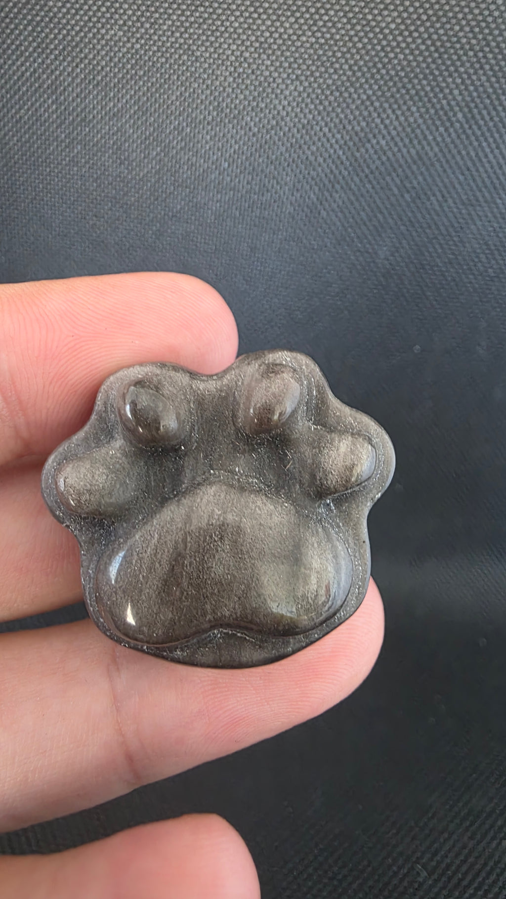 Silver Sheen Obsidian Paw Carving – Intuitively Chosen (3.2cm x 2.6cm)