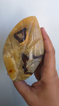 Hand-Carved Septarian Leaf Crystal Sculpture – 825g