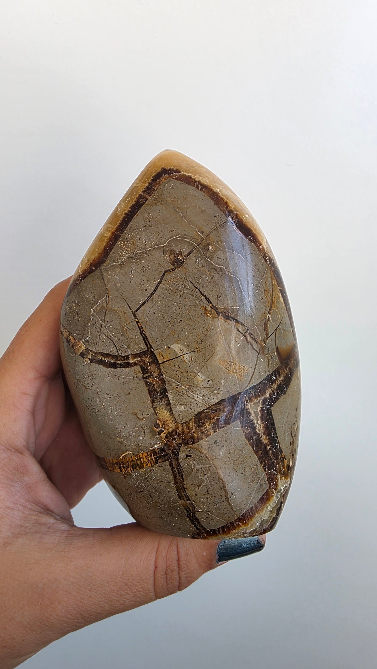 Hand-Carved Septarian Leaf Crystal Sculpture – 825g
