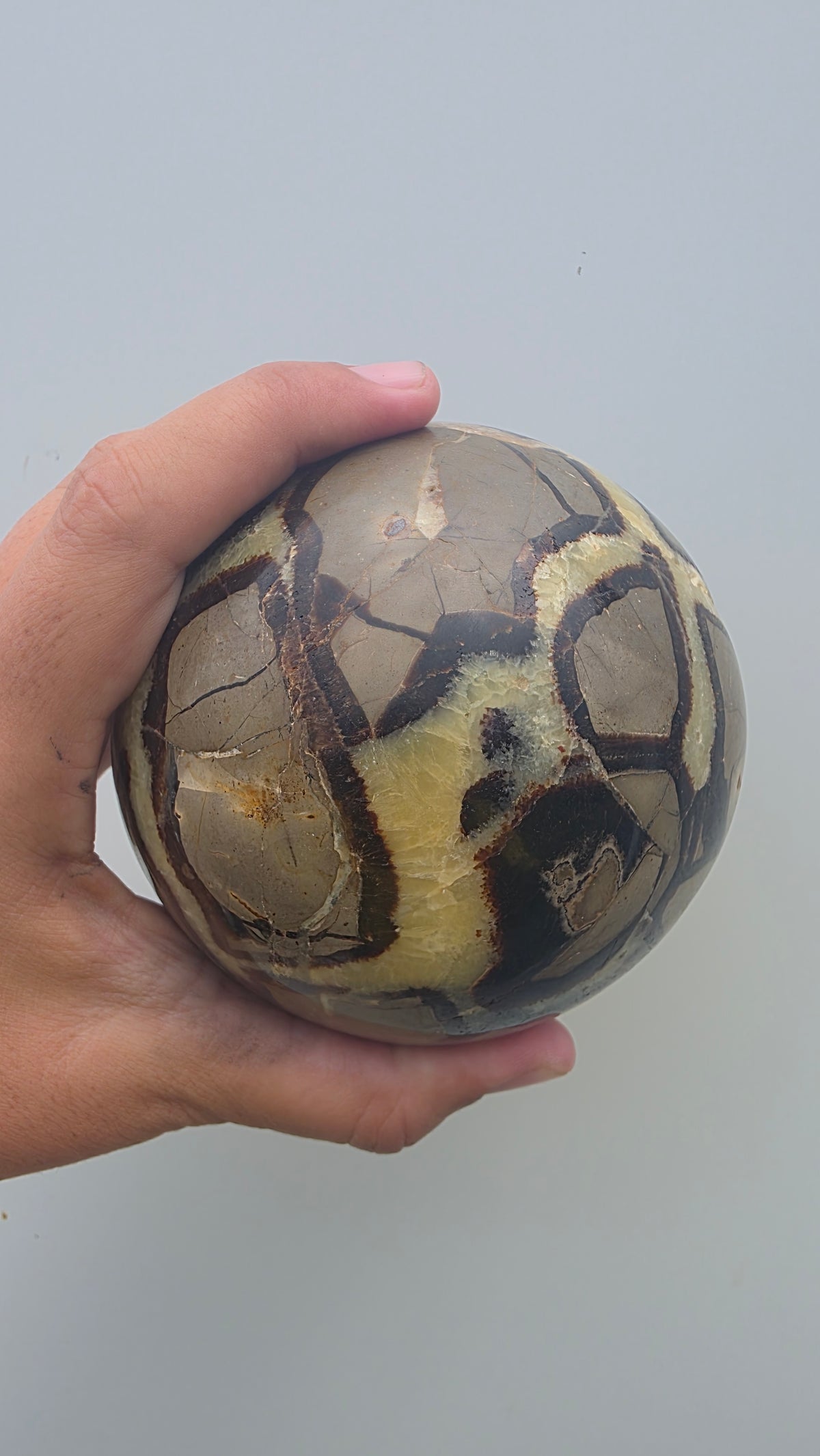Genuine Polished Septarian "Dragon Stone" Sphere | 10cm, 1.74kg