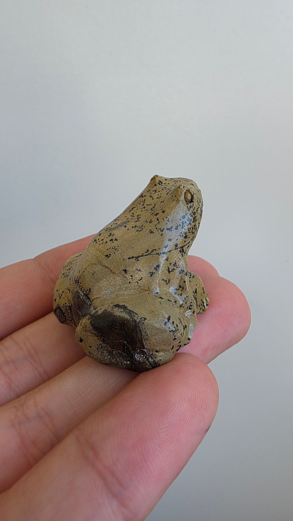 Natural Picture Jasper Frog Carving – Intuitively Chosen