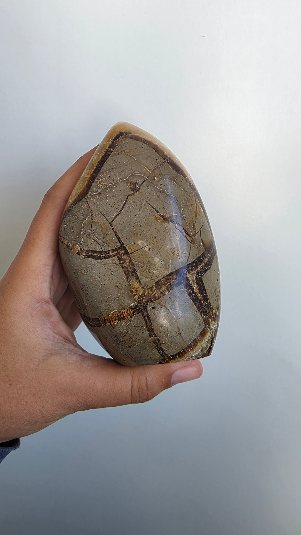 Hand-Carved Septarian Leaf Crystal Sculpture – 825g