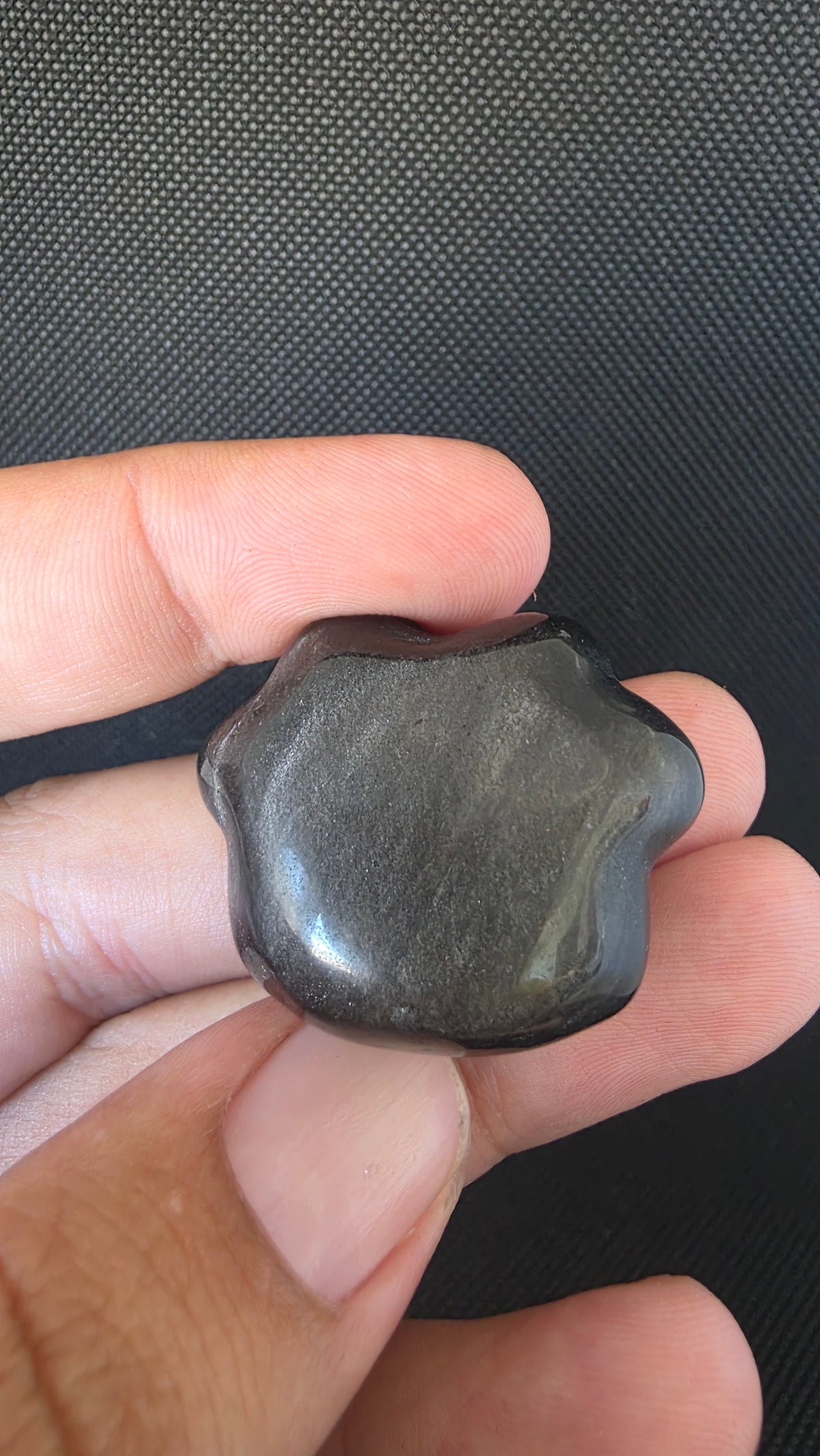 Silver Sheen Obsidian Paw Carving – Intuitively Chosen (3.2cm x 2.6cm)
