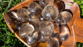 Natural Smokey Quartz Tumblestones (2.5–3.5cm) – Intuitively Chosen