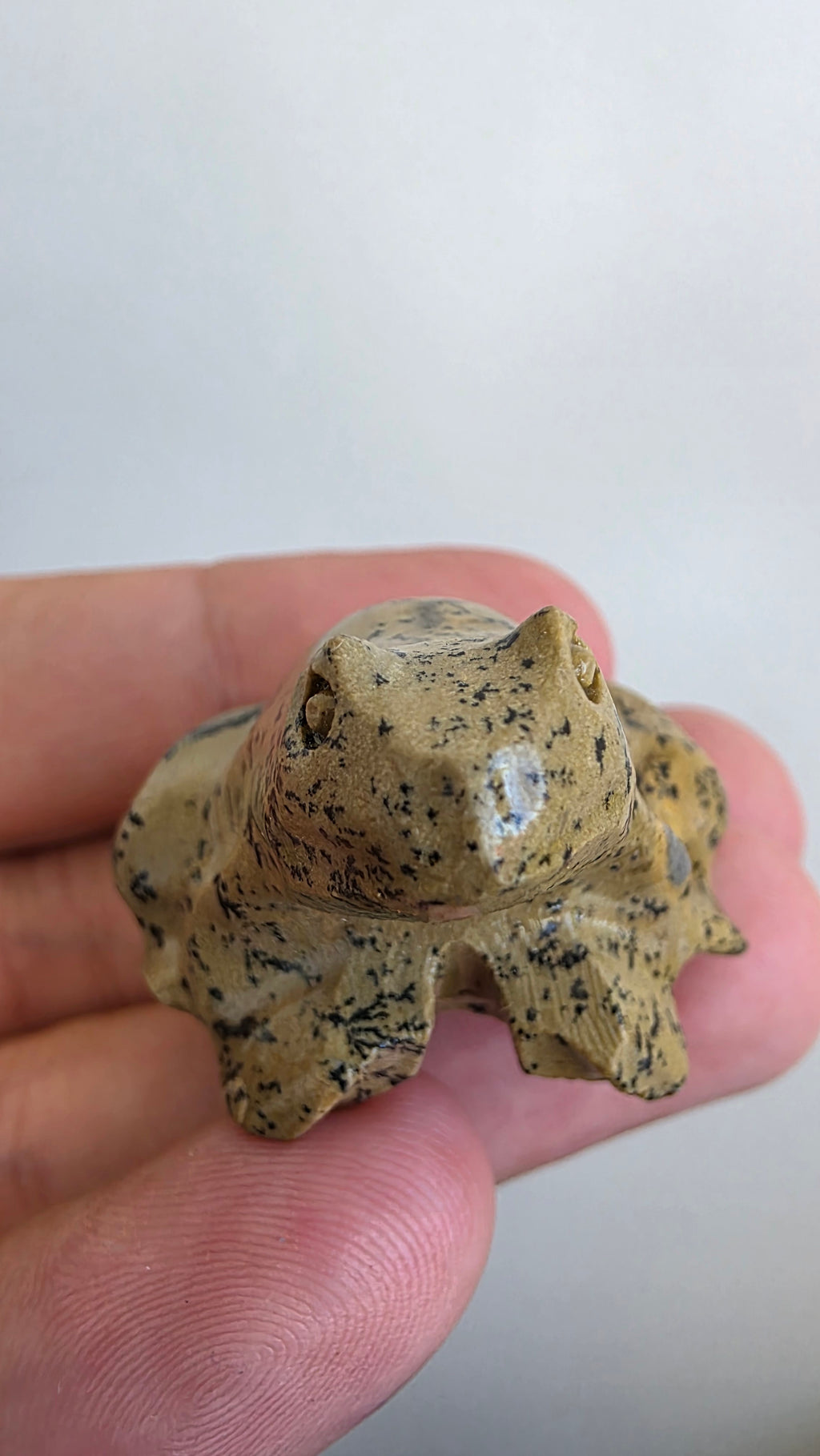 Natural Picture Jasper Frog Carving – Intuitively Chosen