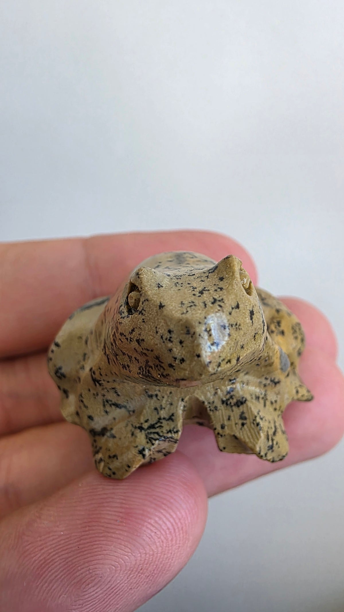 Natural Picture Jasper Frog Carving – Intuitively Chosen
