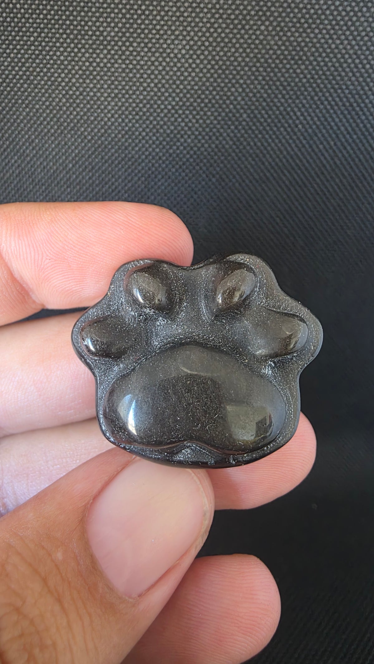 Silver Sheen Obsidian Paw Carving – Intuitively Chosen (3.2cm x 2.6cm)