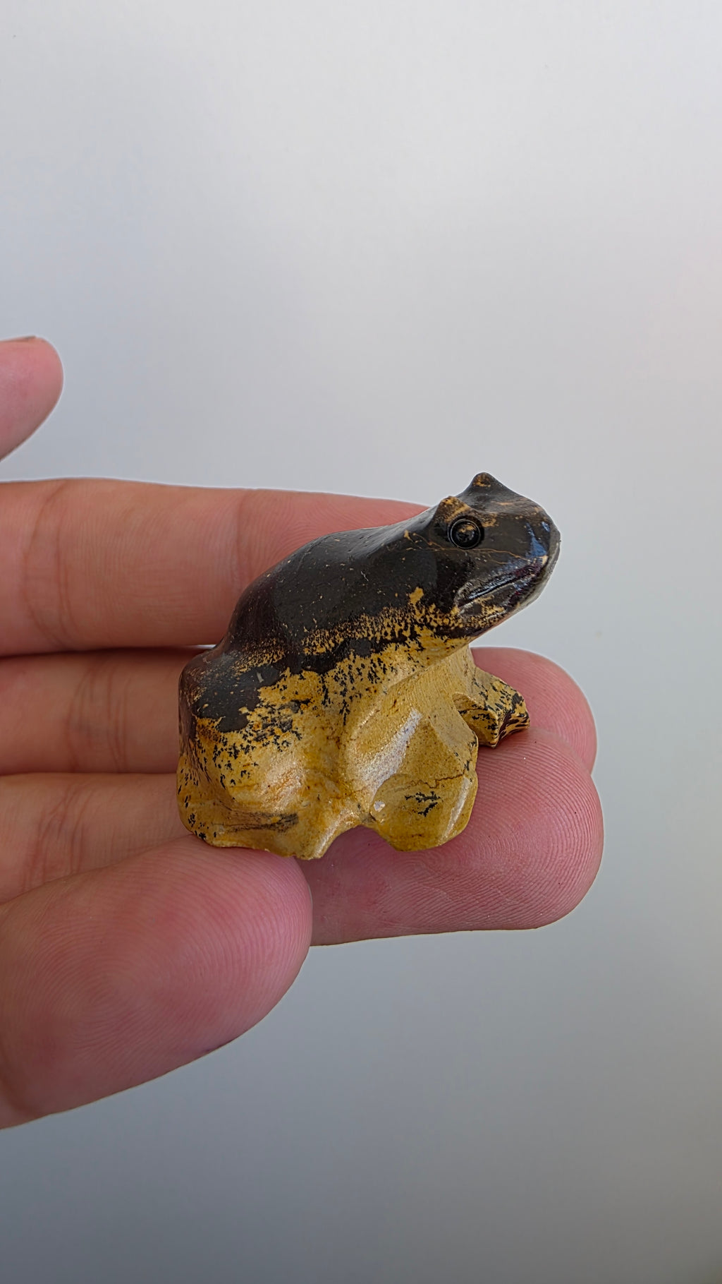 Natural Picture Jasper Frog Carving – Intuitively Chosen