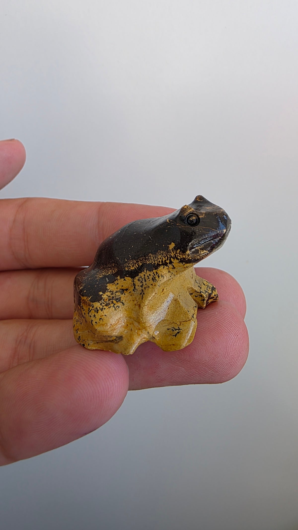 Natural Picture Jasper Frog Carving – Intuitively Chosen