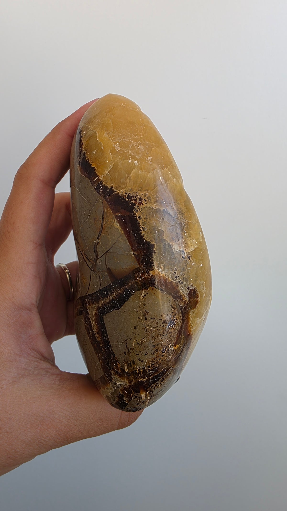 Hand-Carved Septarian Leaf Crystal Sculpture – 825g