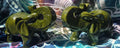 Carved Serpentine Elephant – Intuitively Chosen 1.2kgs