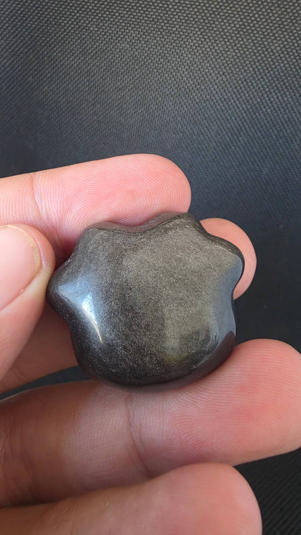 Silver Sheen Obsidian Paw Carving – Intuitively Chosen (3.2cm x 2.6cm)