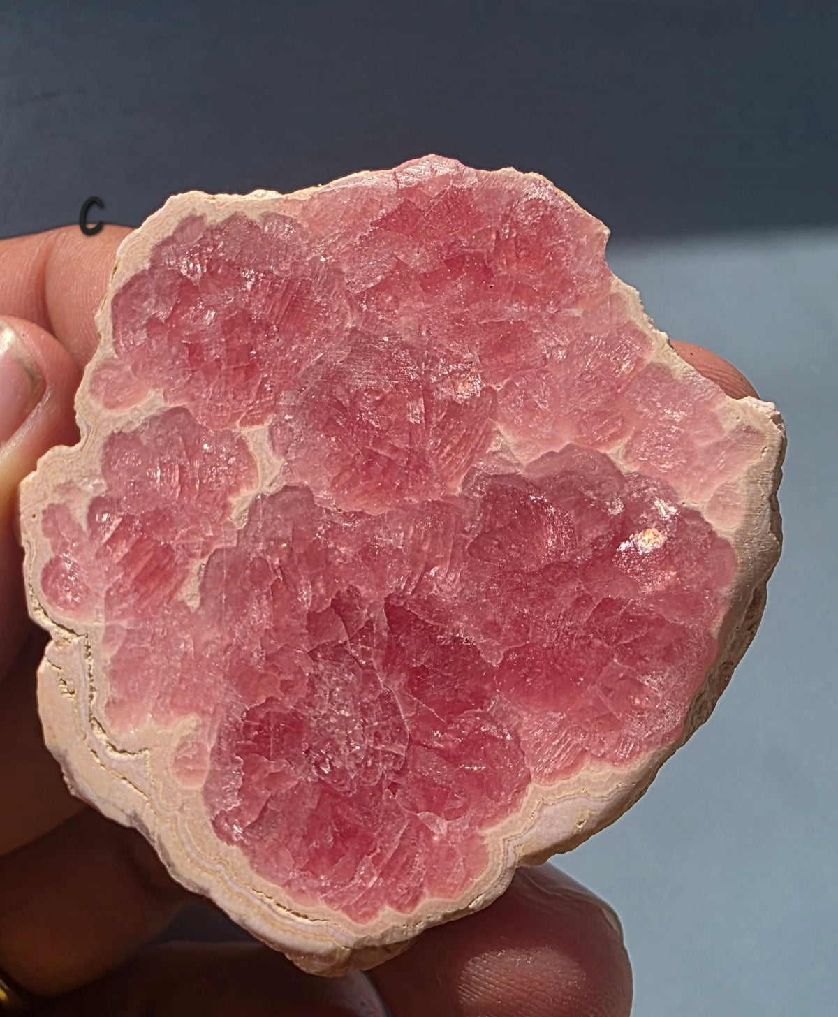 Rhodochrosite Slab from Capillitas Mine, Argentina – Half Polished Crystal Slice