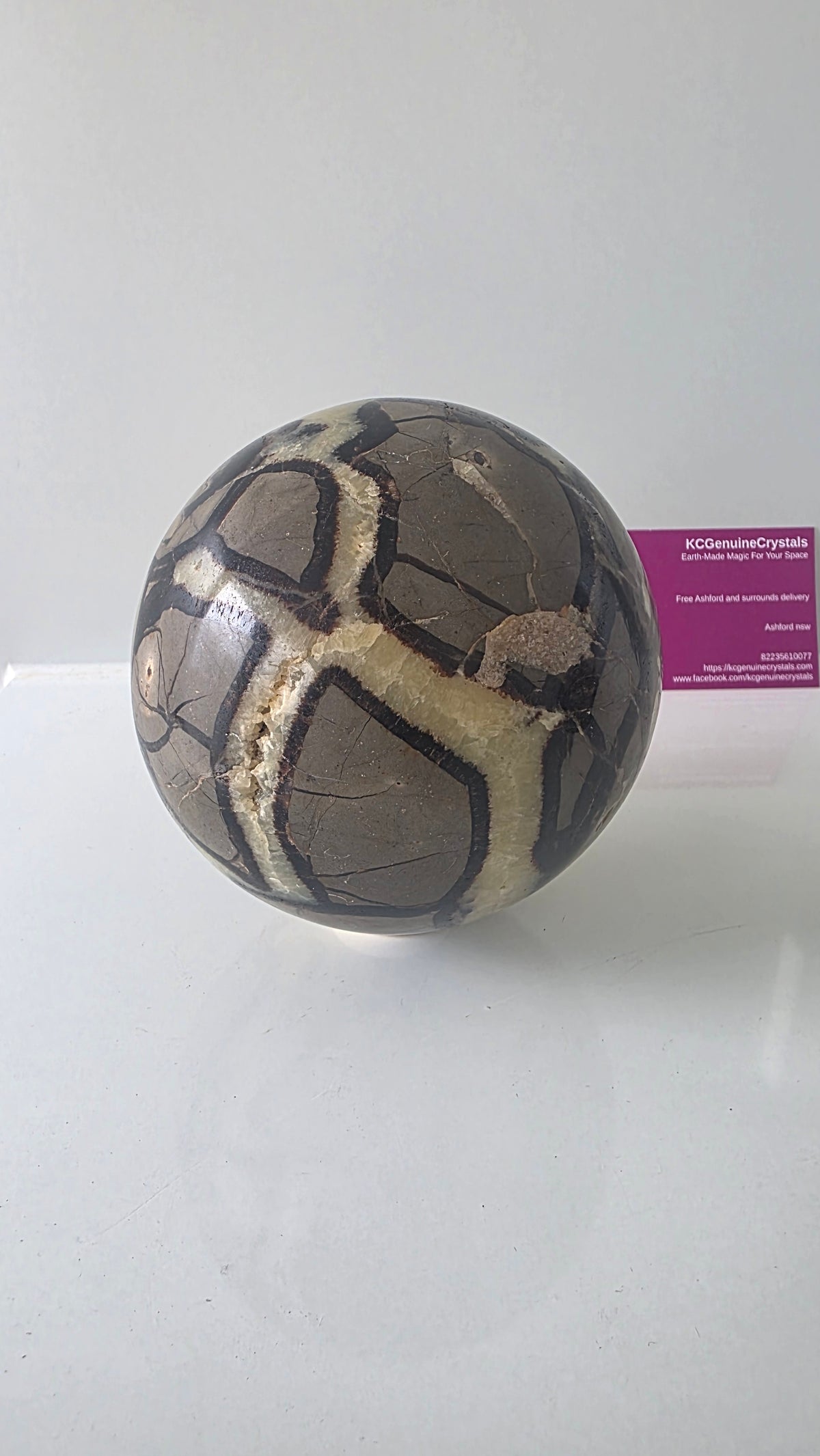 Genuine Polished Septarian "Dragon Stone" Sphere | 10cm, 1.74kg