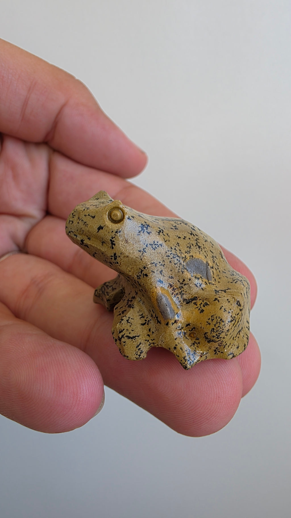 Natural Picture Jasper Frog Carving – Intuitively Chosen