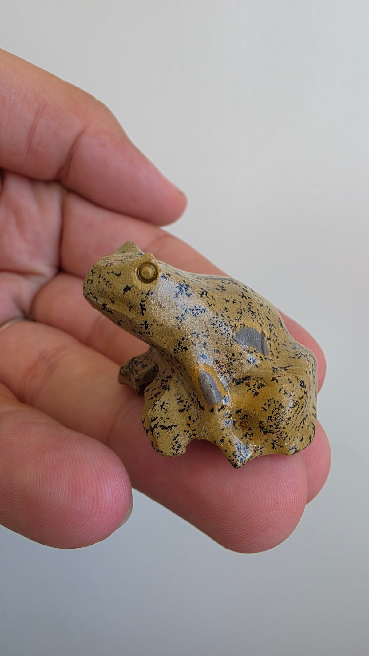 Natural Picture Jasper Frog Carving – Intuitively Chosen