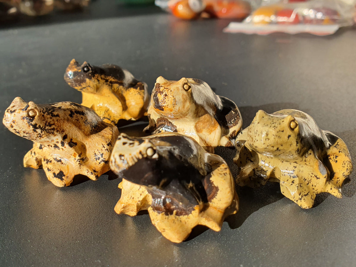 Natural Picture Jasper Frog Carving – Intuitively Chosen