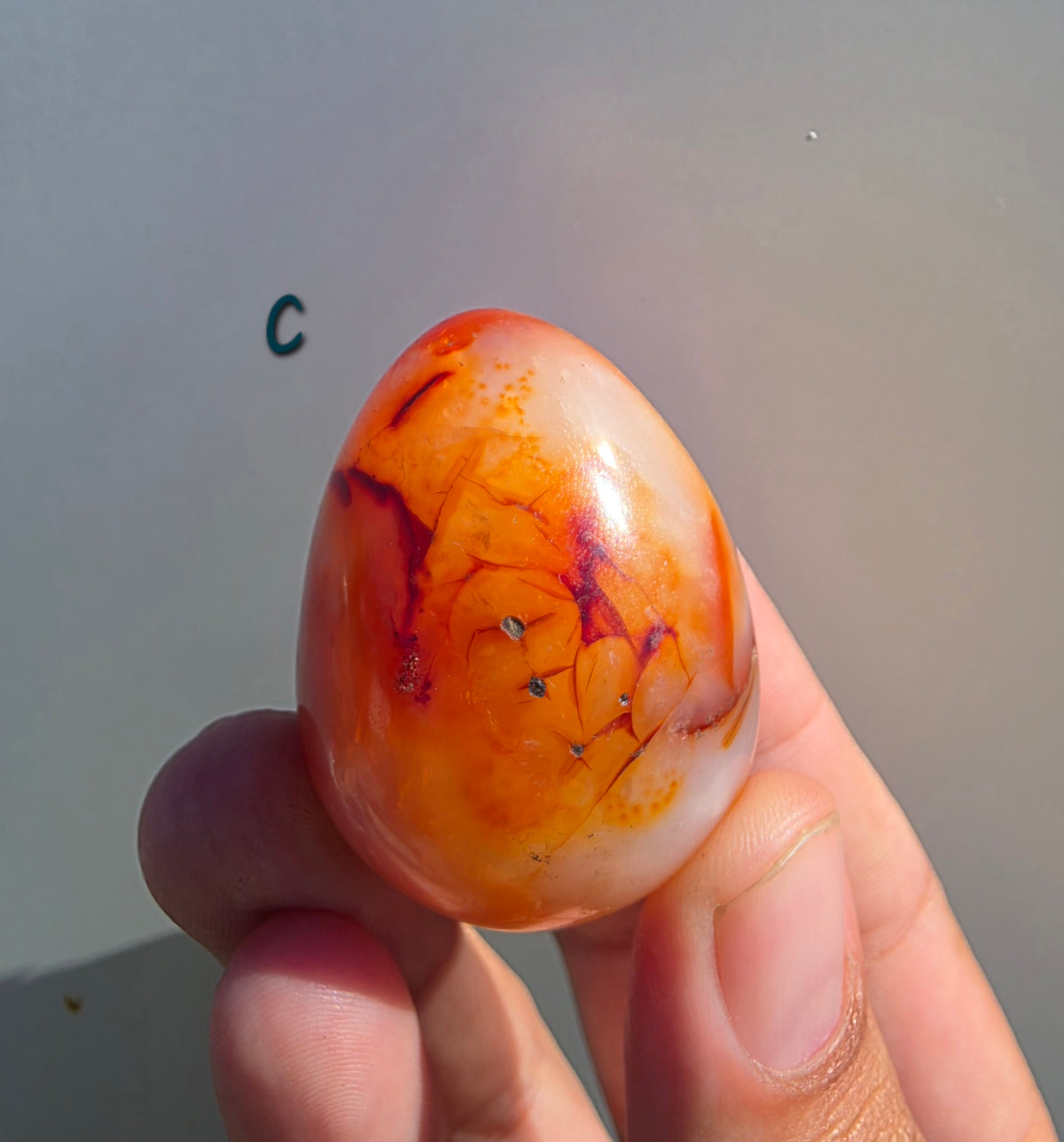 Polished Carnelian Crystal Egg