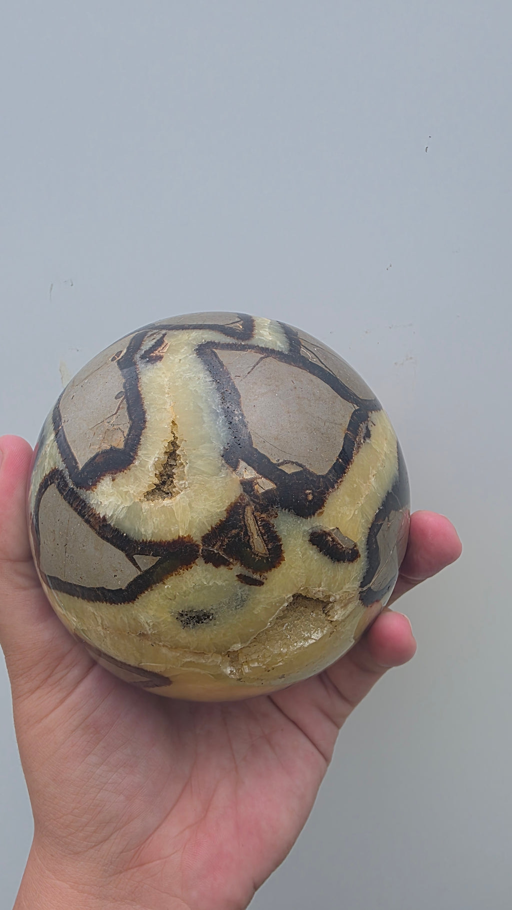 Genuine Polished Septarian "Dragon Stone" Sphere | 10cm, 1.74kg