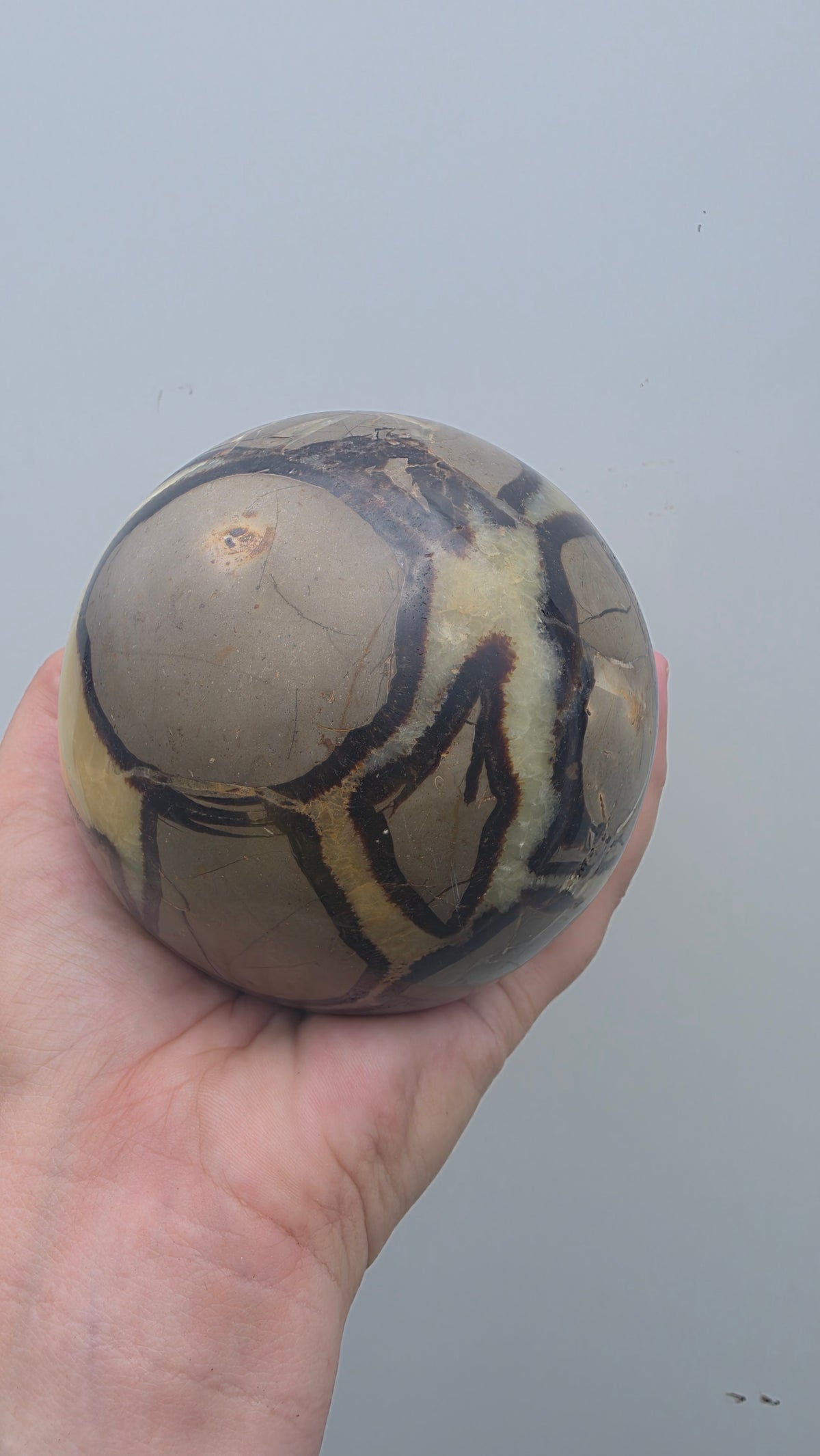 Genuine Polished Septarian "Dragon Stone" Sphere | 10cm, 1.74kg