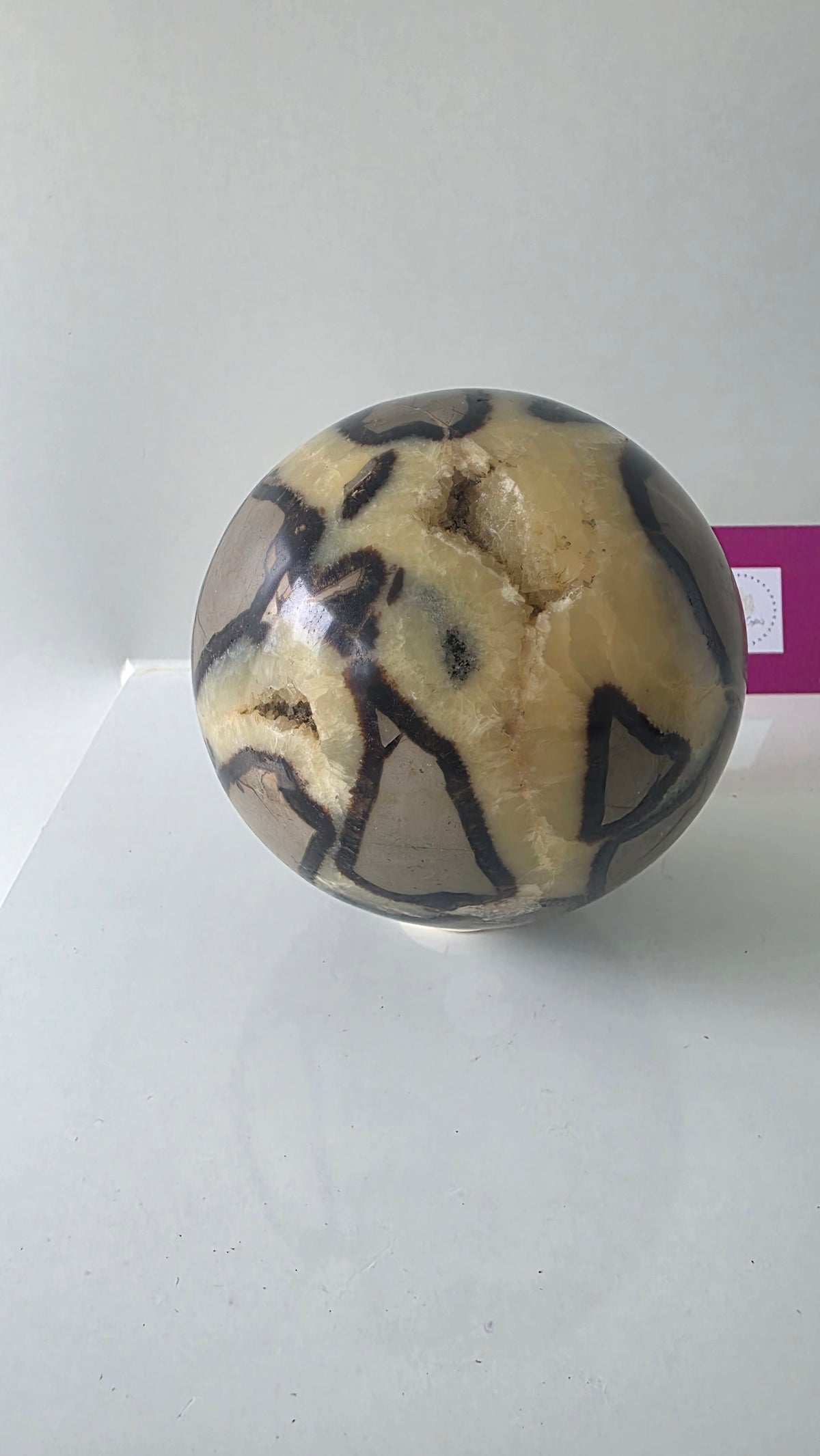 Genuine Polished Septarian "Dragon Stone" Sphere | 10cm, 1.74kg